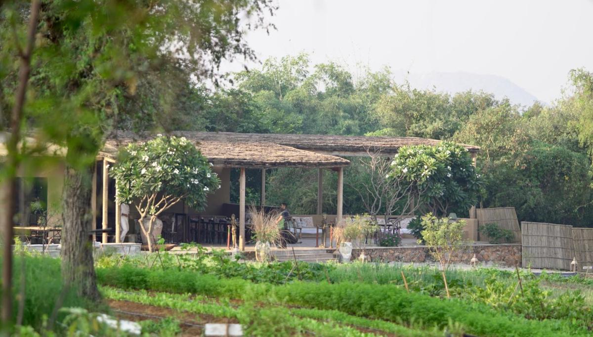 Anopura Jaipur