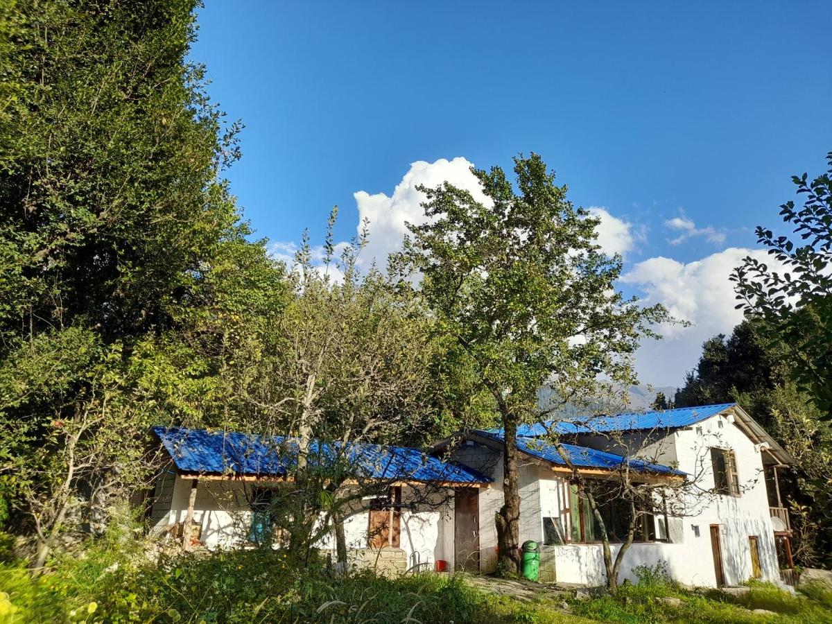 Attic Monkey Hostel - Old Manali