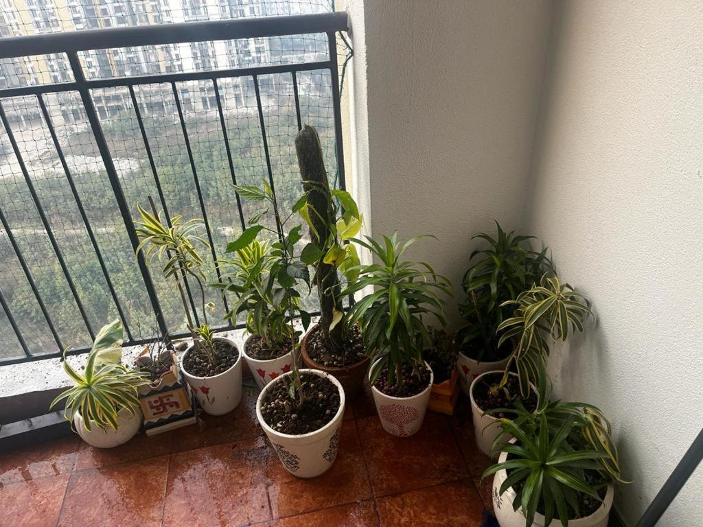 Edge Eldeco Aamantran