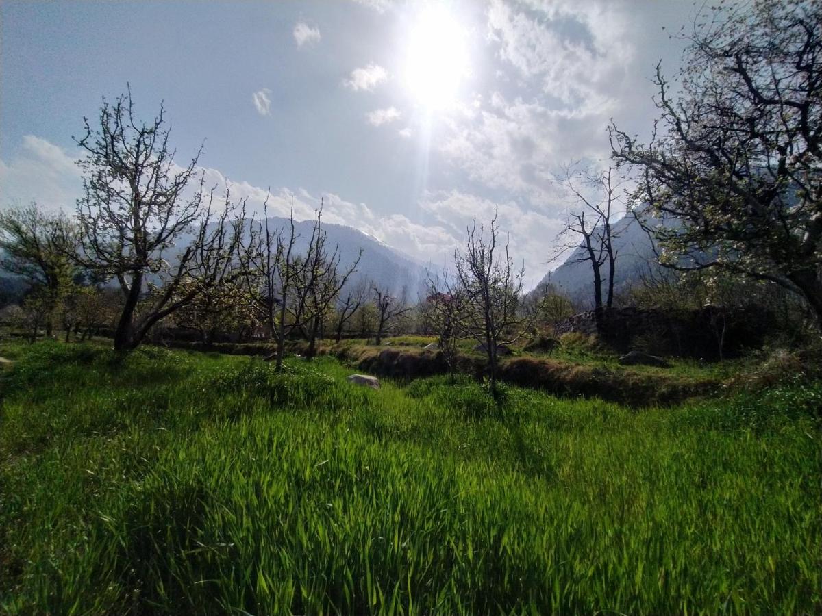 Farm Hostel & Camps