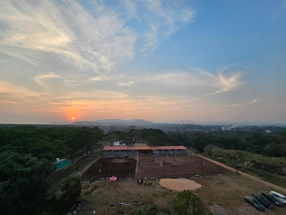 Hotel Forest View