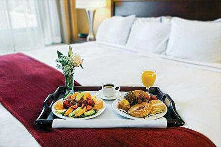 Hotel Janvi Palace