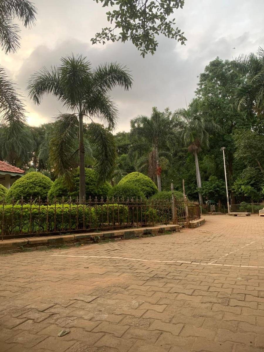 Lexus Lodge