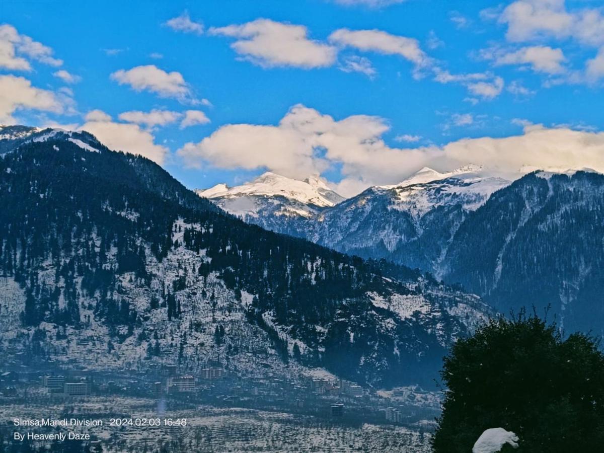 Mountain Regal