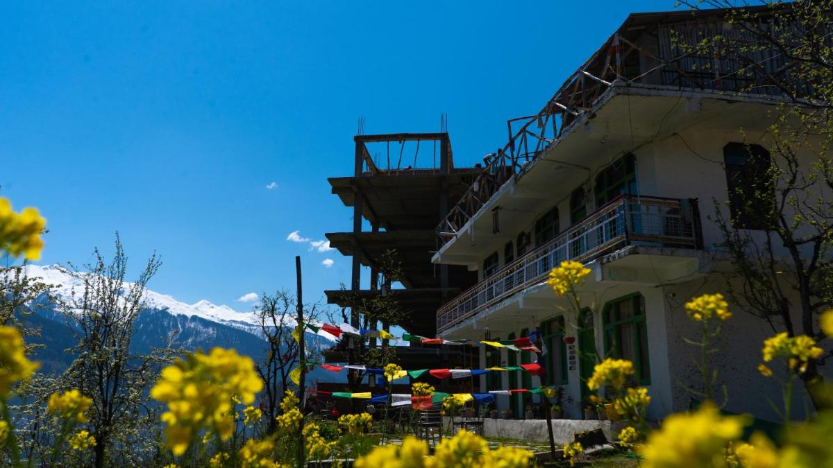 Nomadic Den Manali