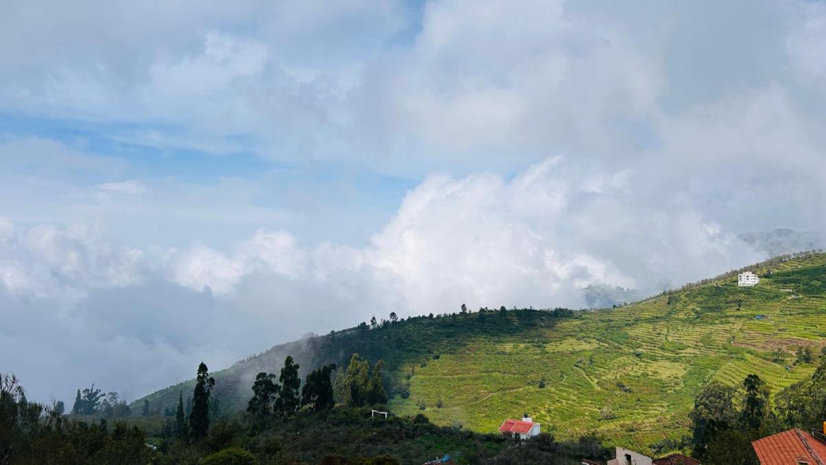 The Great Travel Diaries