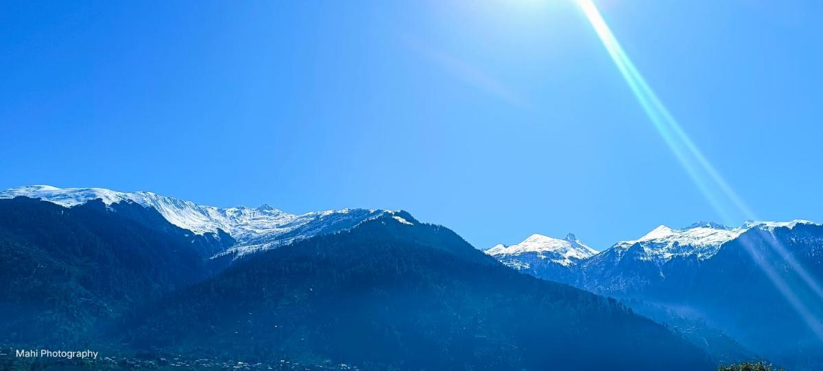 The mountain regal