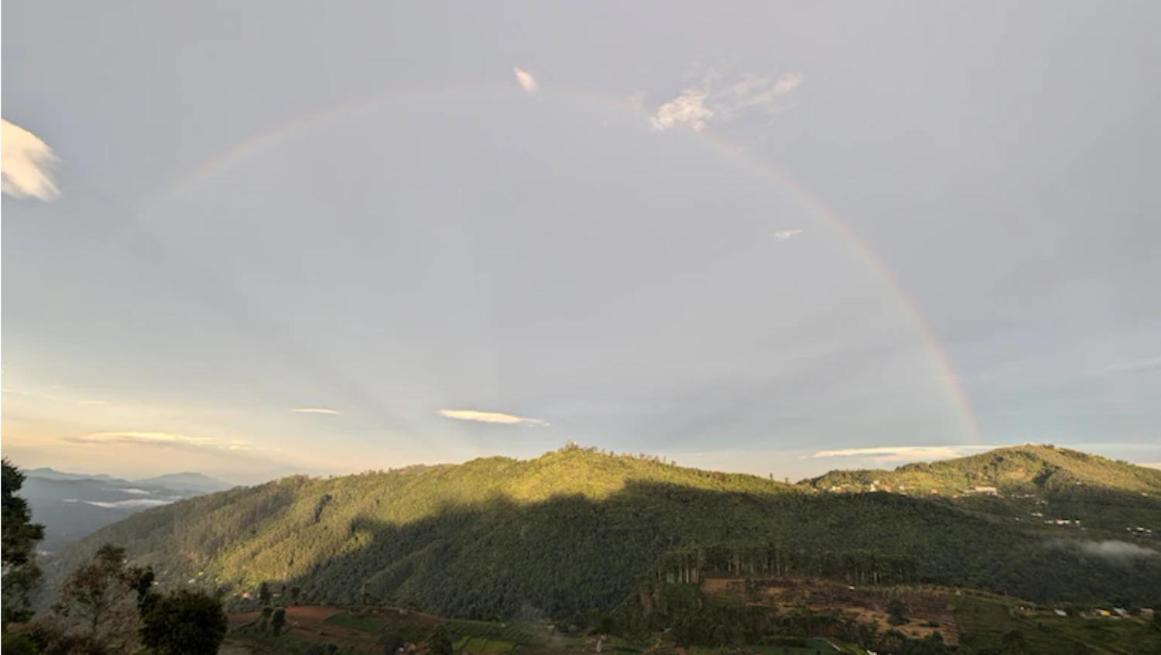 The view kodai