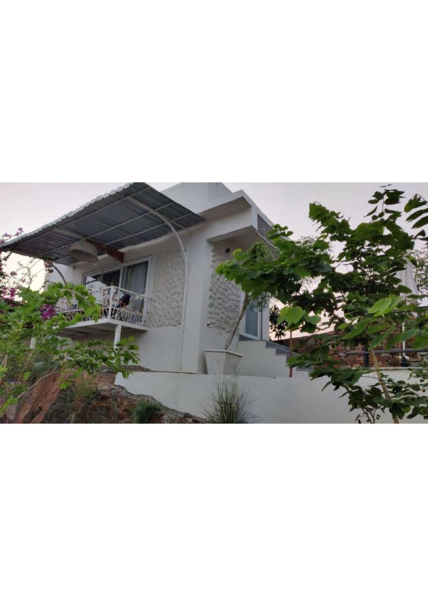 Villa Solace