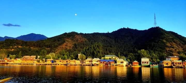 Young heritage houseboats